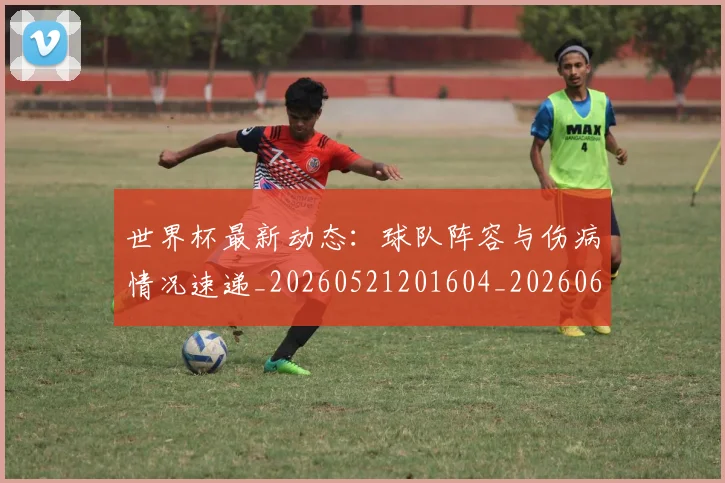 世界杯最新动态:球队阵容与伤病情况速递_20260521201604_20260607160359