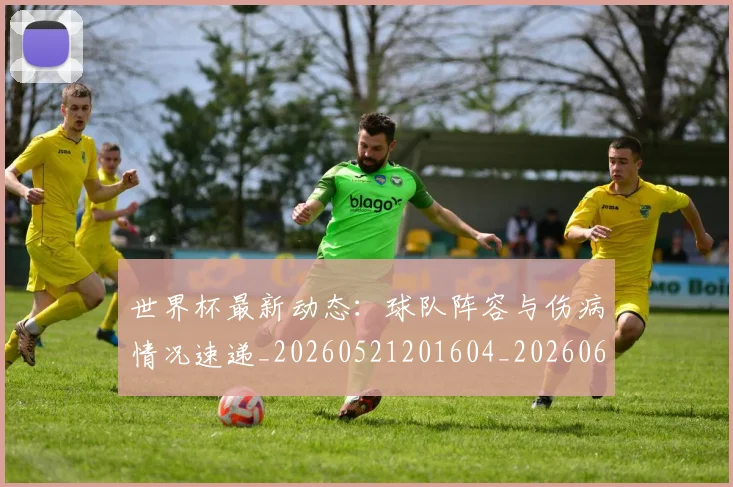 世界杯最新动态：球队阵容与伤病情况速递_20260521201604_20260607160359